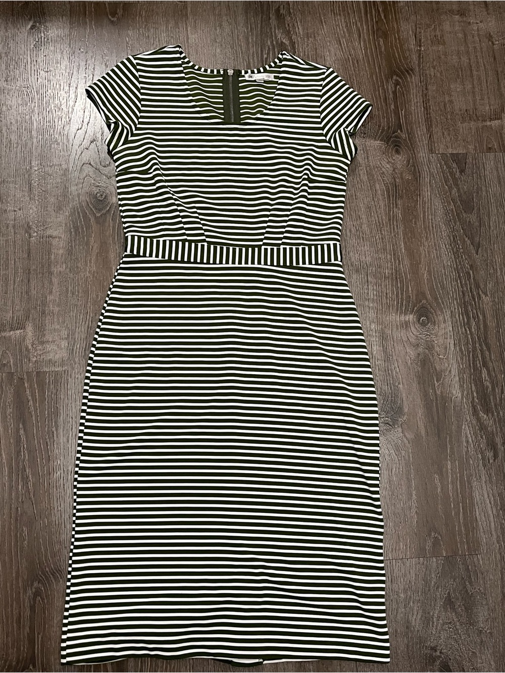 SD Collection Green and White Striped Midi Sheath Dress
